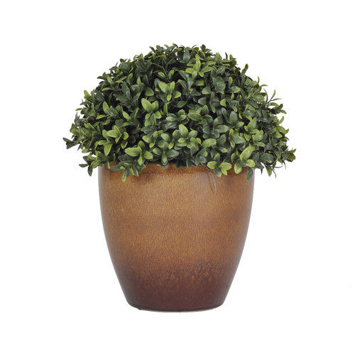 绿色植物-纯爱_House-of-Silk-Flowers-Inc.-Artificial-Half-Ball-Boxwood-Topiary-in-Gloss-Planter.jpg