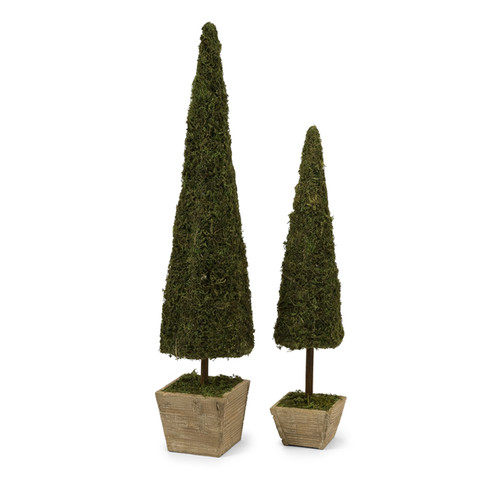 绿色植物-纯爱_IMAX-Two-Piece-Mossy-Conical-Topiary-Set-in-Green.jpg