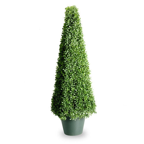 绿色植物-纯爱_National-Tree-Co.-Boxwood-Square-Topiary.jpg