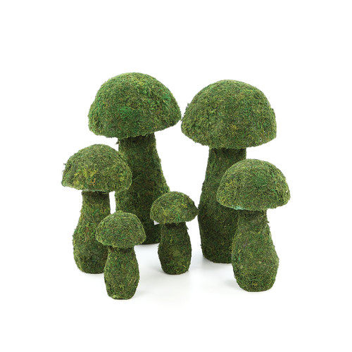 绿色植物-纯爱_Three Piece Mossy Mushroom Topiary Set in Green.jpg
