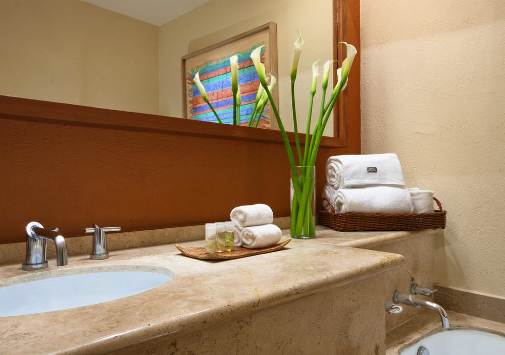 29)The Westin Resort &amp;amp_ Spa, Los Cabos—Standard Bathroom 拍攝者.jpg