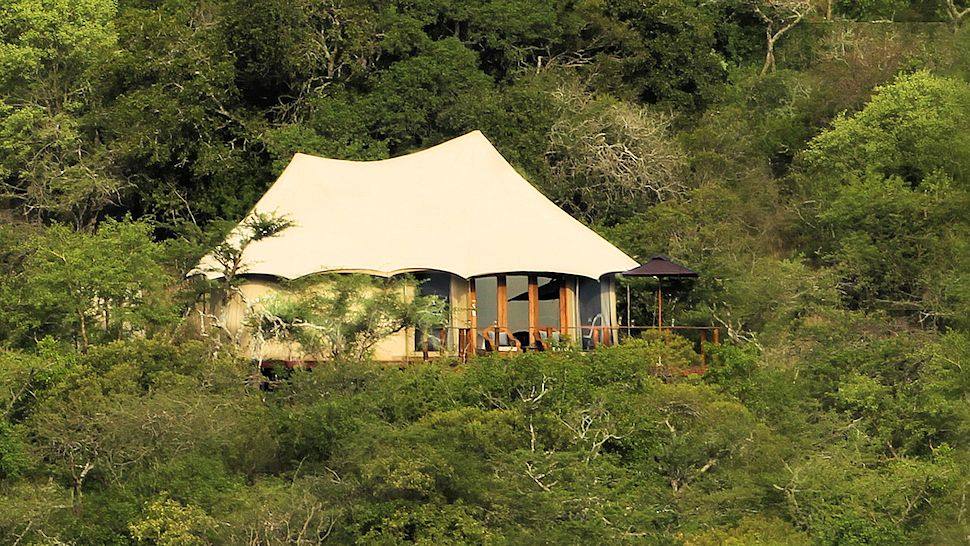 003166-14-thanda tented camp - tent in the bush   - online - image 20131126-cs1_5633.jpg