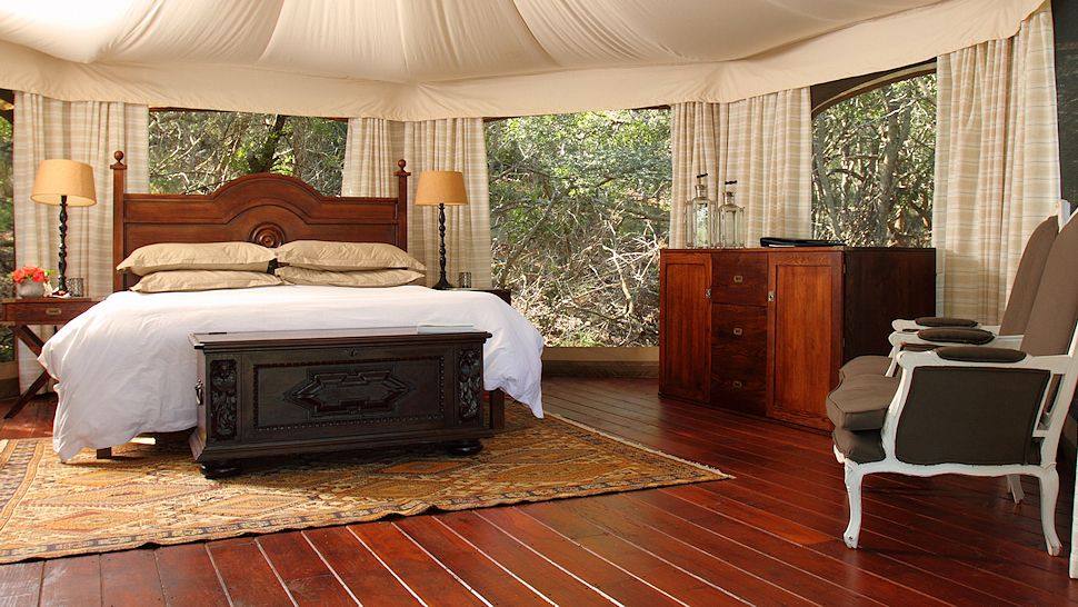 003166-16-thanda tented camp - tent in the bush - online - image xt93.jpg