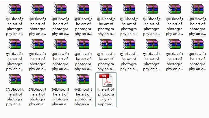 The Art of Photography 摄影的艺术 英文原版[PDF]_QQ图片20141225173538.jpg