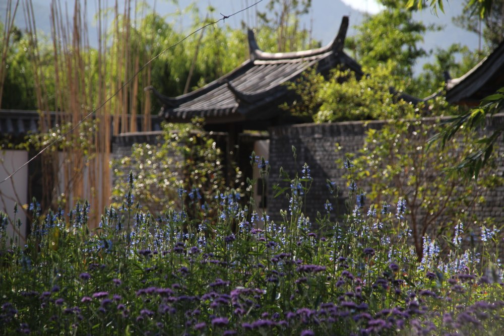 Pullman Lijiang - villa entrance 丽江铂尔曼 - 别墅入口.JPG