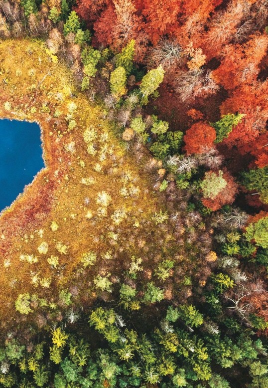 免费   国家地理杂志2014全年     拿去~拿去~拿去~_National Geographic - Septiembre 20140014.jpg