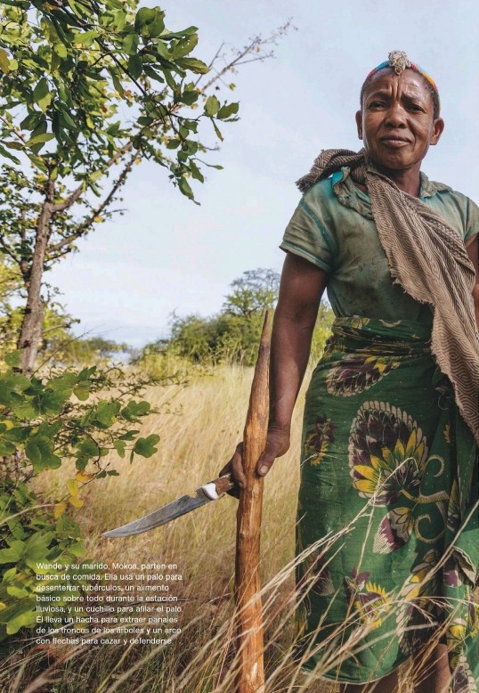 免费   国家地理杂志2014全年     拿去~拿去~拿去~_National Geographic - Septiembre 20140061.jpg