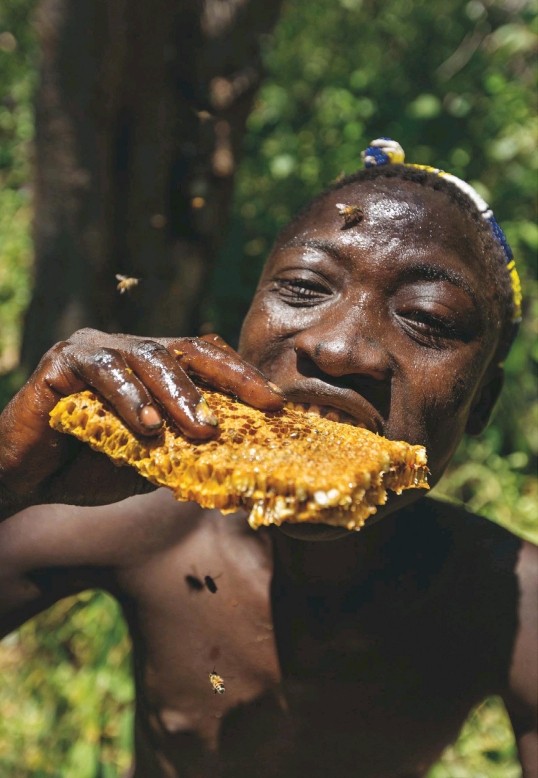 免费   国家地理杂志2014全年     拿去~拿去~拿去~_National Geographic - Septiembre 20140064.jpg