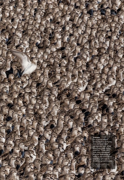 免费   国家地理杂志2014全年     拿去~拿去~拿去~_National Geographic USA 2014-100034.jpg