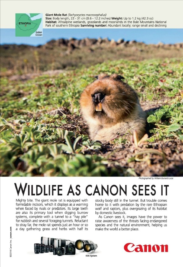 免费   国家地理杂志2014全年     拿去~拿去~拿去~_National Geographic USA - June 20140008.jpg