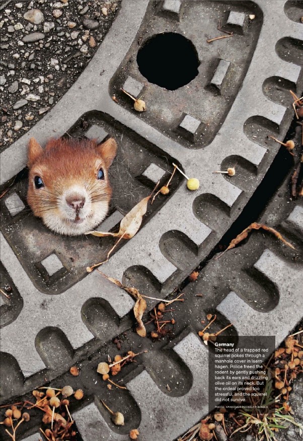 免费   国家地理杂志2014全年     拿去~拿去~拿去~_National Geographic USA - June 20140014.jpg