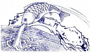 中国青花瓷传统图案全集及寓意_鲤鱼跳龙门.jpg