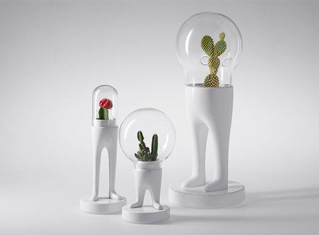 Funny-Creative-Terrariums-8.jpg