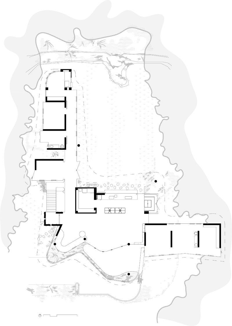 丈夫和妻子设计团队创建一个热带回家_planchonella_100715_30-800x1120.jpg