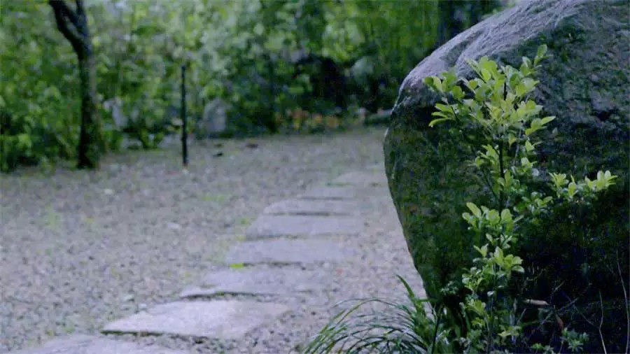 全台湾最有江南范儿的园子_在开发春余园子的时候，从地下挖出了很多大石头。很多人会为此感到头痛，但对唐白余来说这些石头都是宝贝。 ...