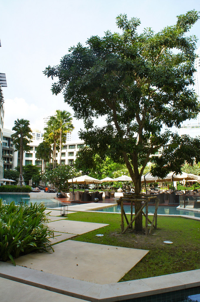 曼谷暹罗凯宾斯基饭店 Kempinski Hotel Bangkok （多图）_Kempinski Hotel Bangkok (122).jpg