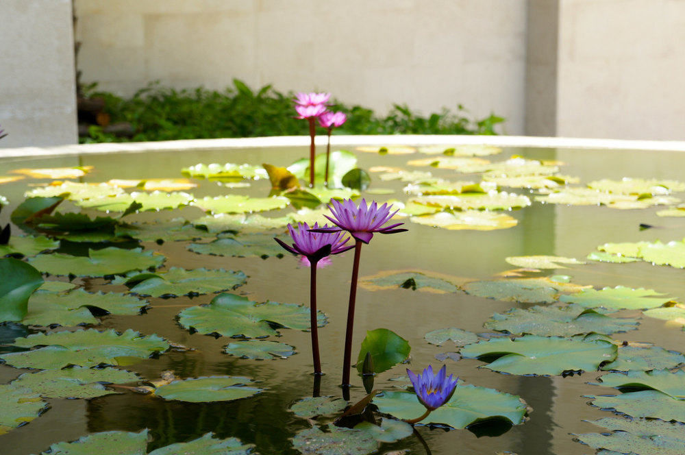 Kempinski Hotel Bangkok (254).jpg