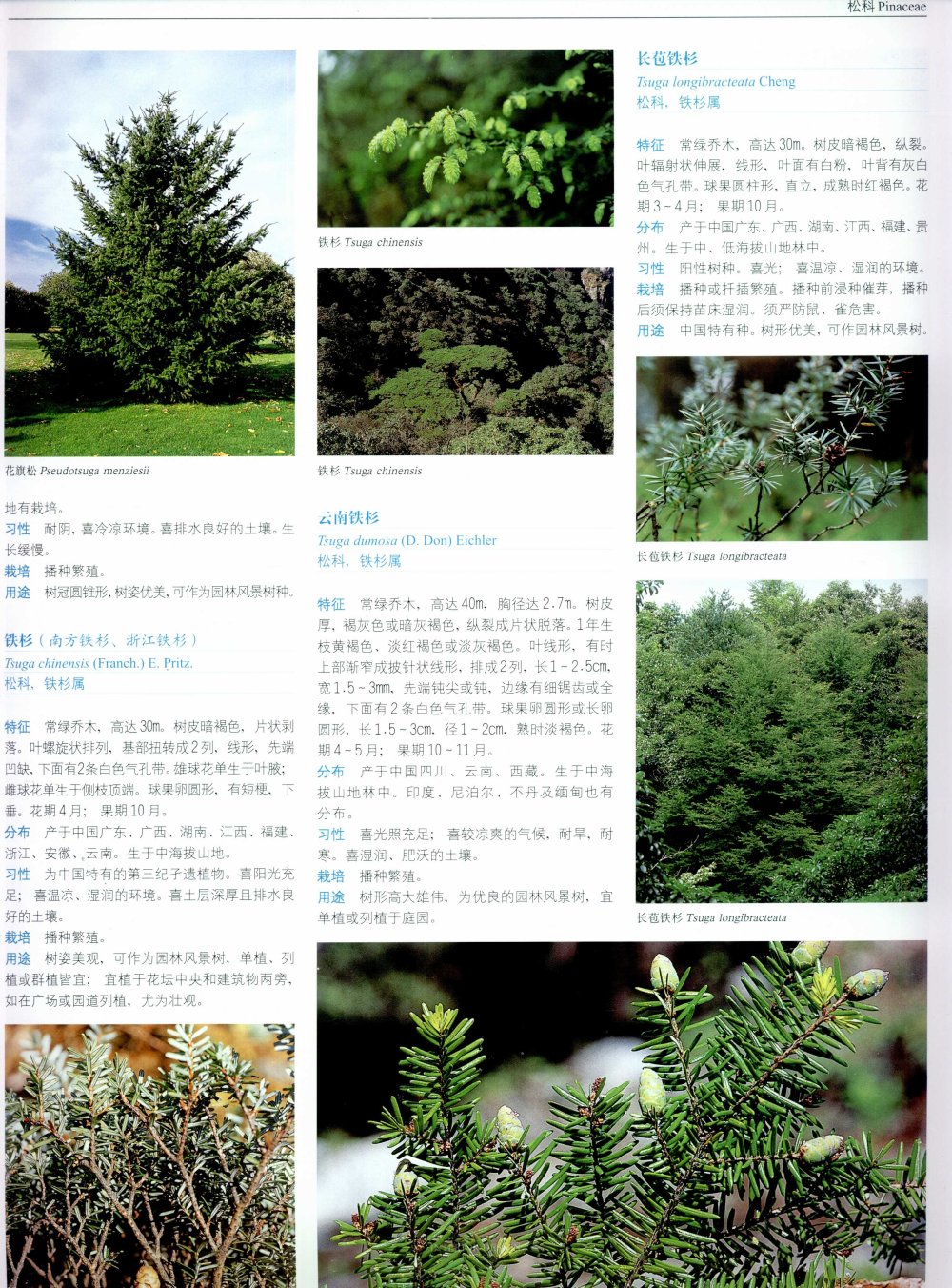 中国景观植物上(上)--H_0130.jpg