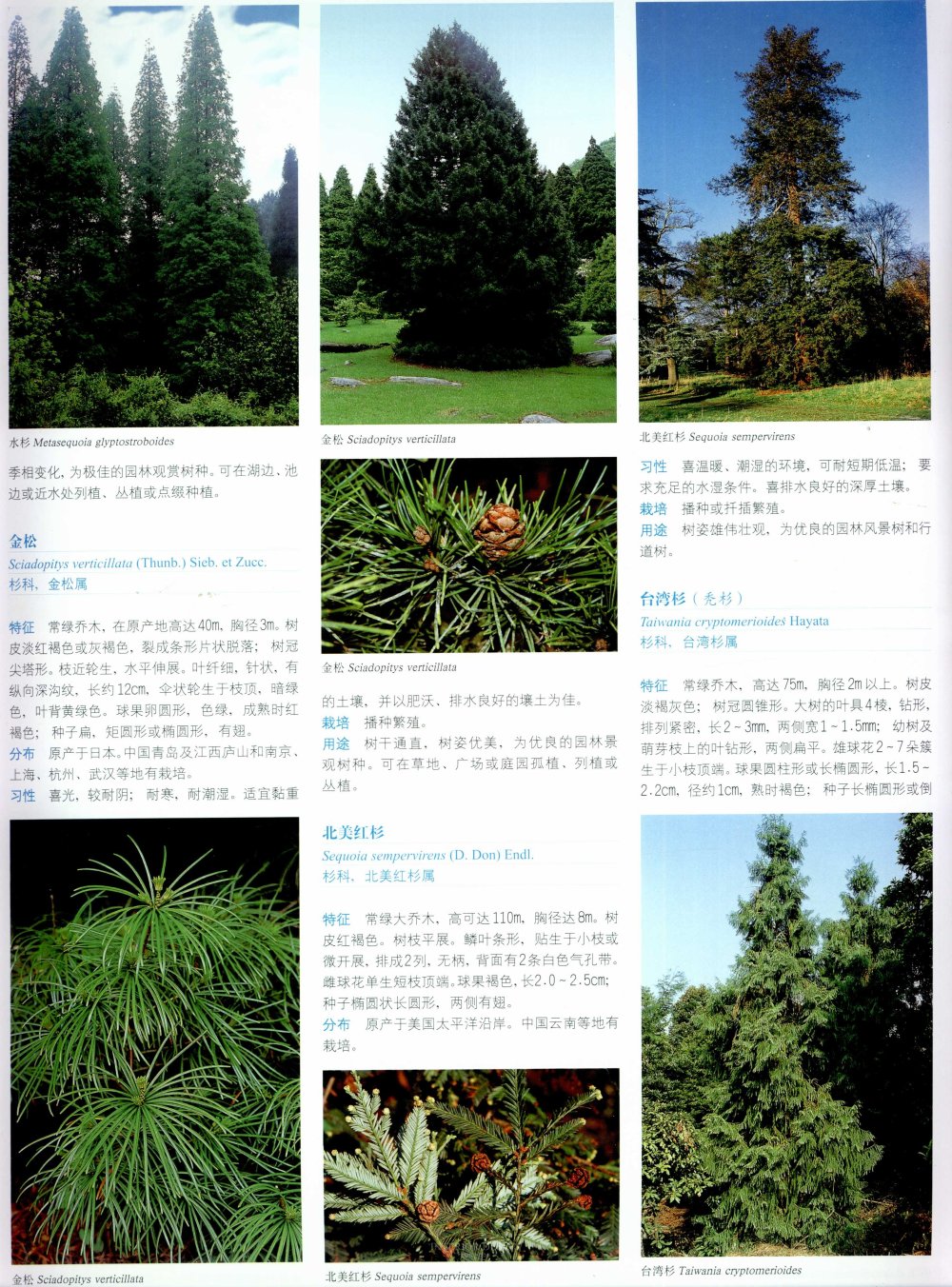 中国景观植物上(上)--H_0133.jpg