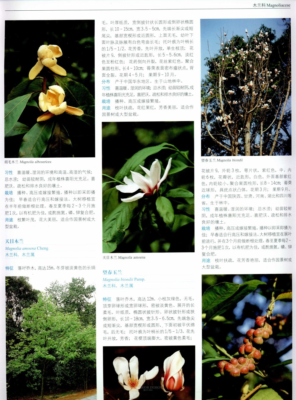 中国景观植物上(上)--H_0162.jpg