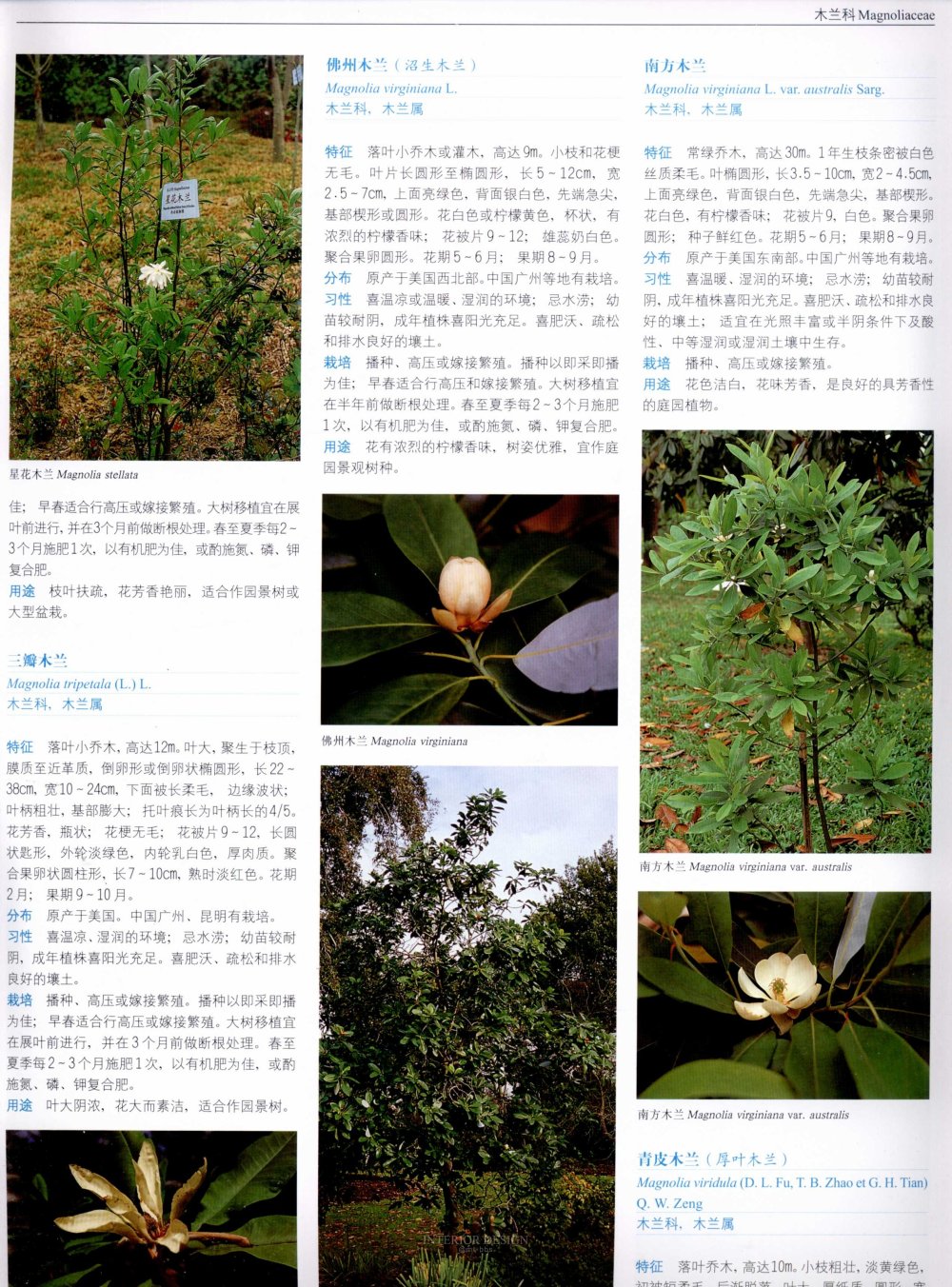 中国景观植物上(上)--H_0173.jpg