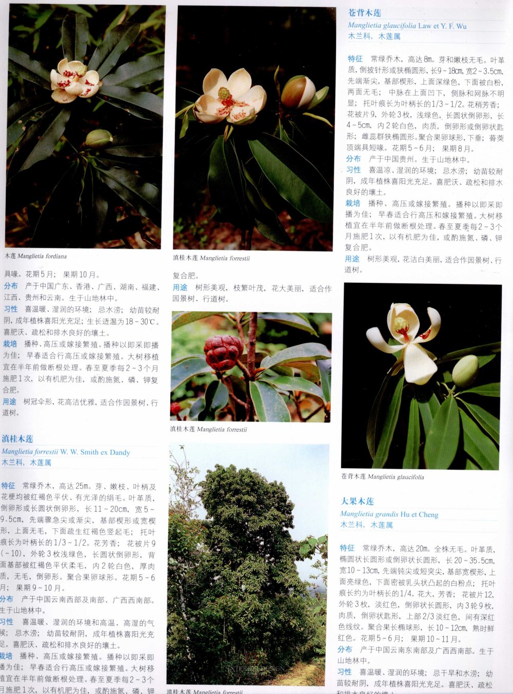 中国景观植物上(上)--H_0176.jpg