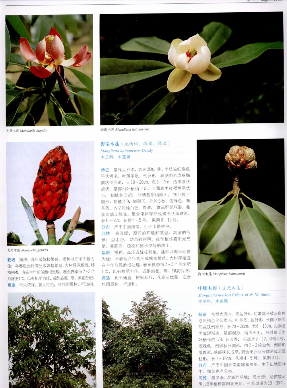中国景观植物上(上)--H_0177.jpg