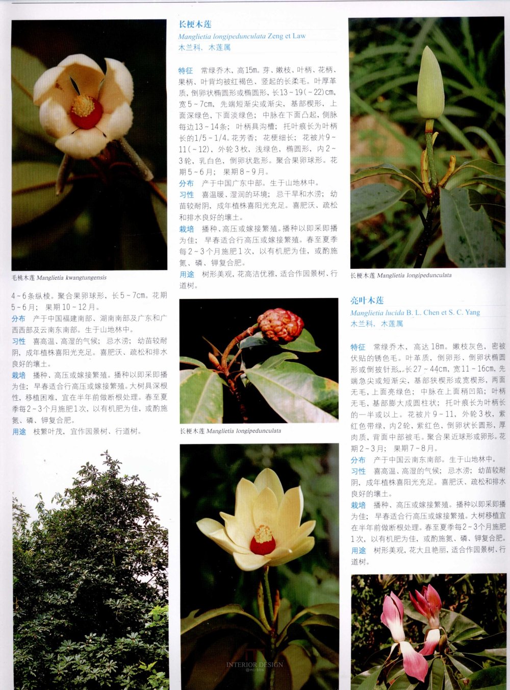 中国景观植物上(上)--H_0179.jpg