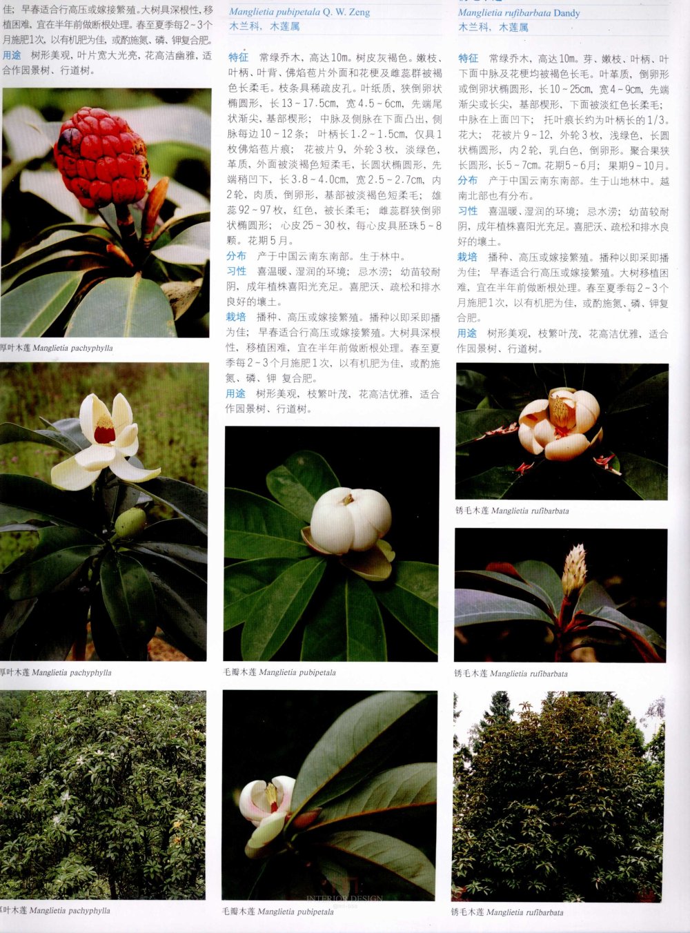 中国景观植物上(上)--H_0182.jpg