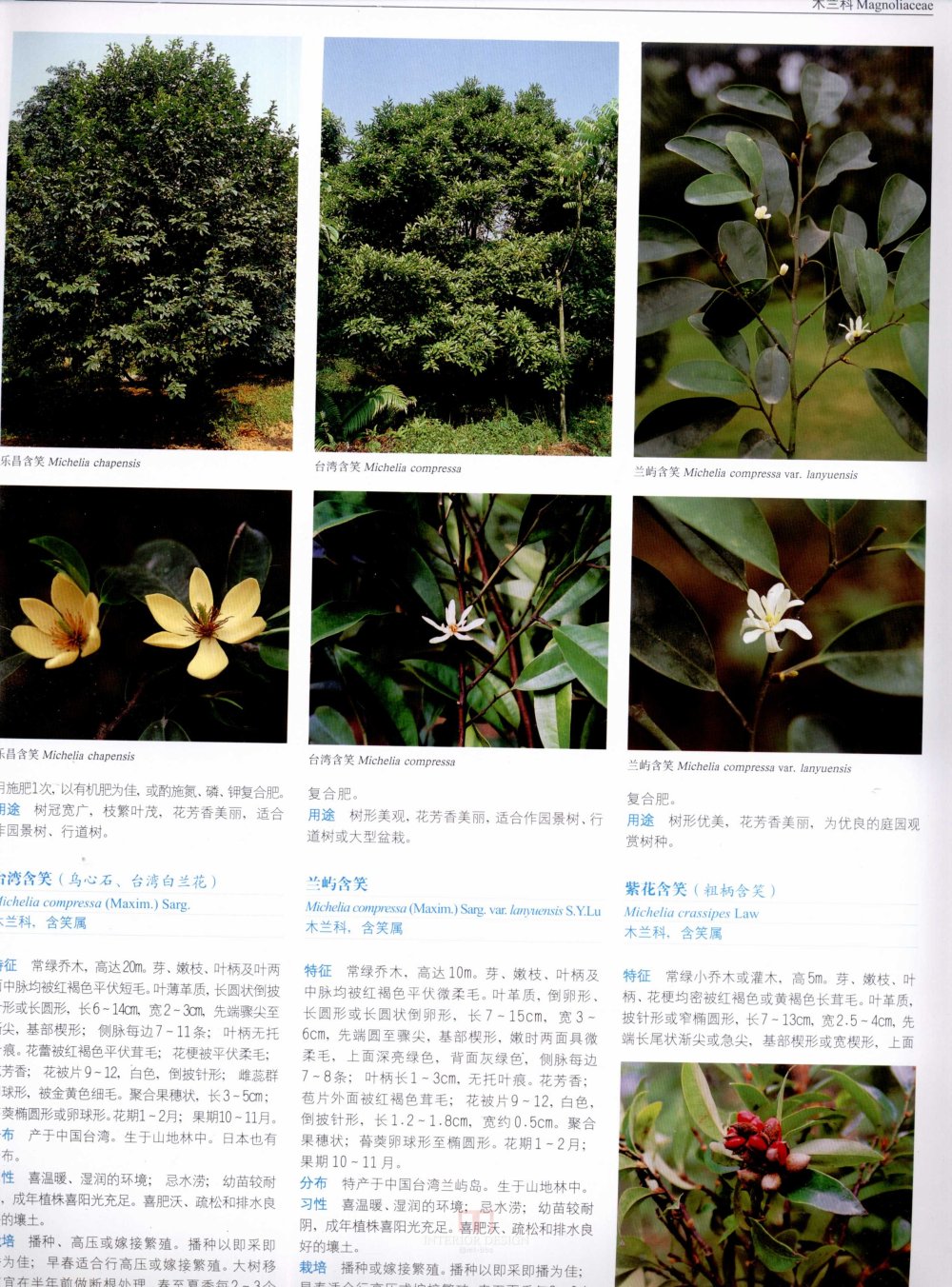 中国景观植物上(上)--H_0185.jpg