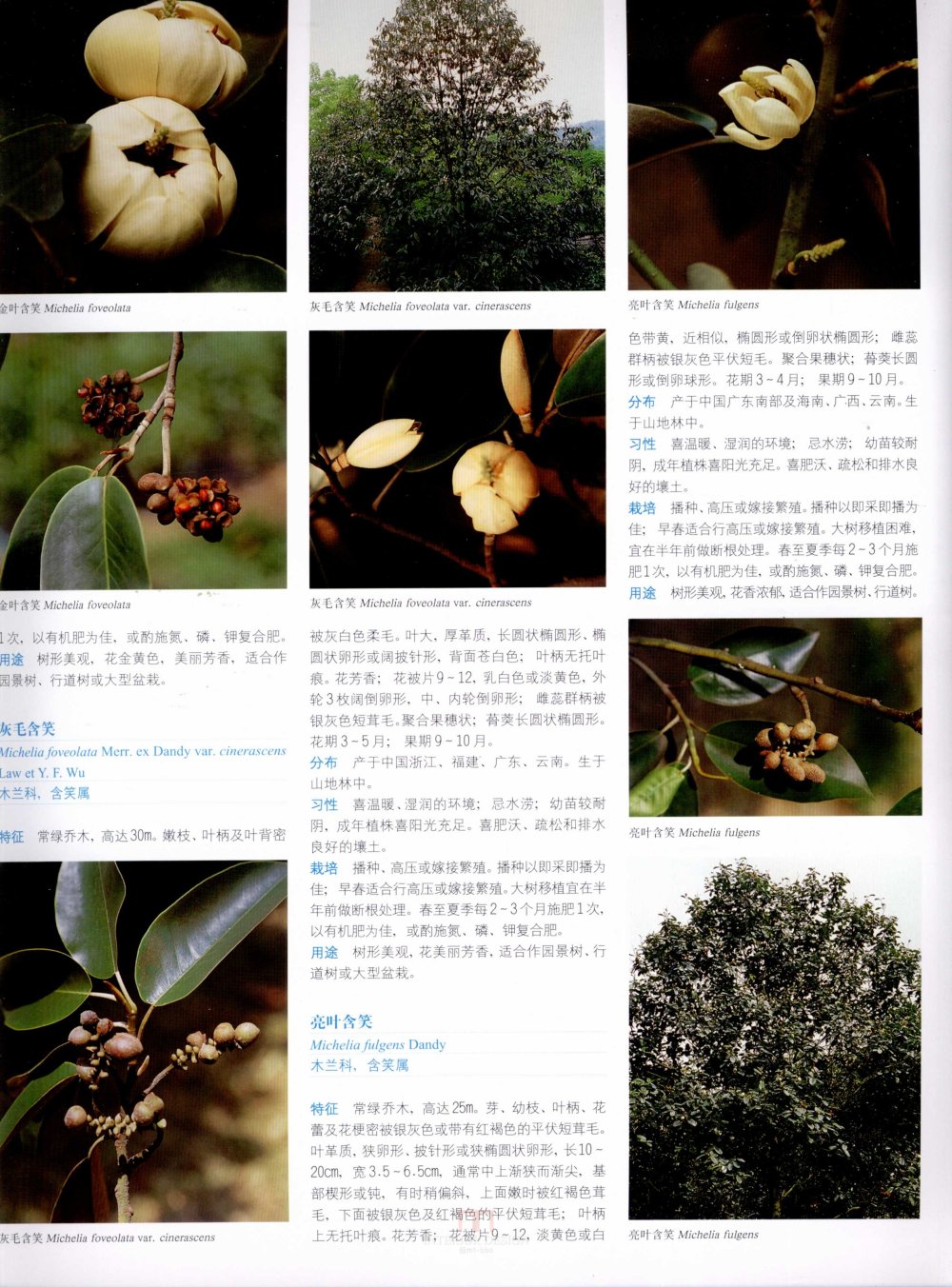 中国景观植物上(上)--H_0188.jpg