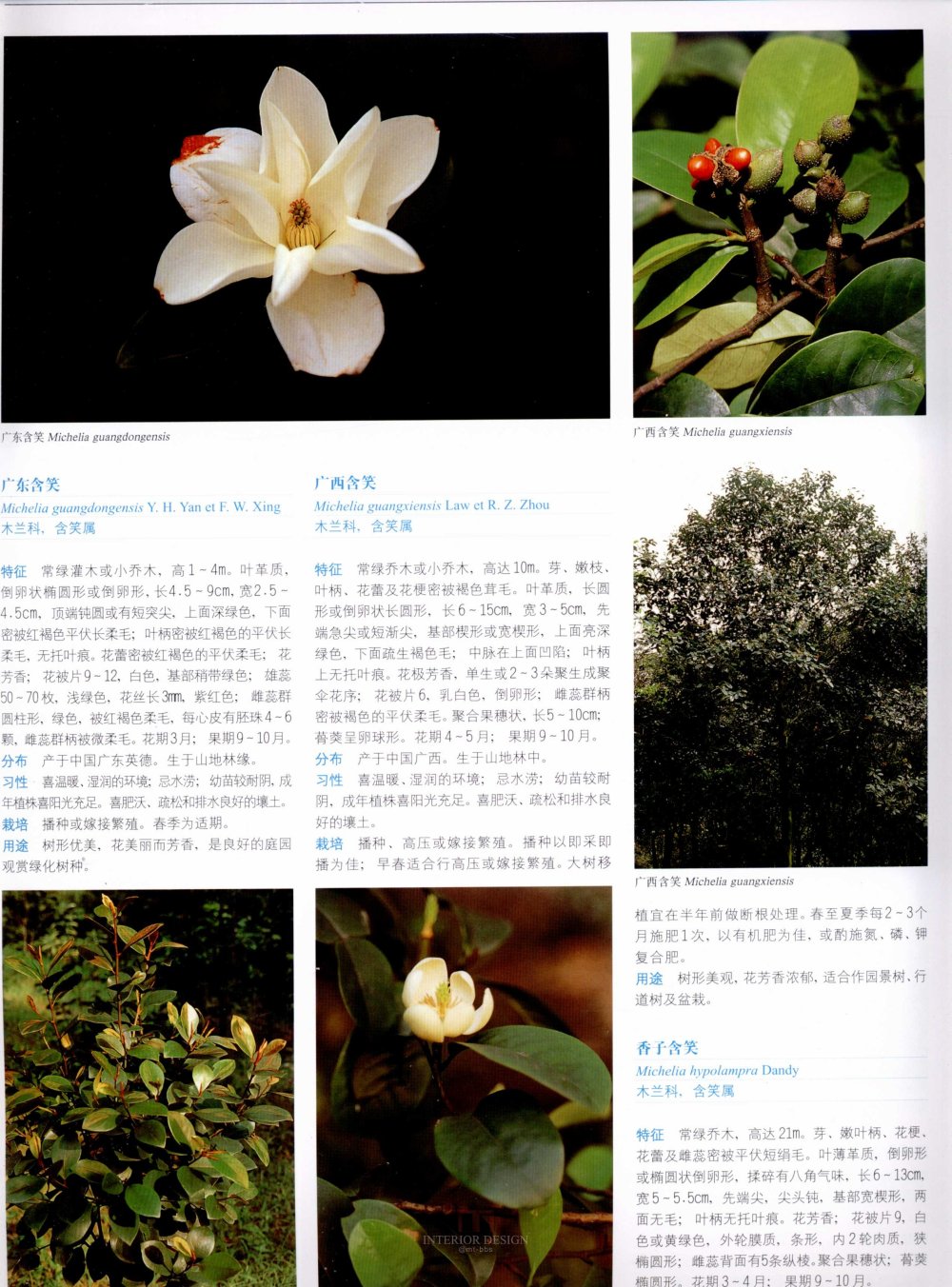 中国景观植物上(上)--H_0189.jpg