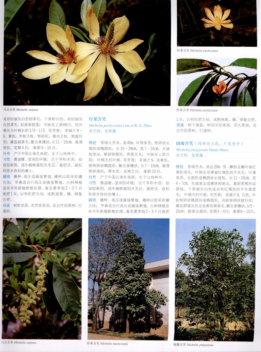 中国景观植物上(上)--H_0192.jpg