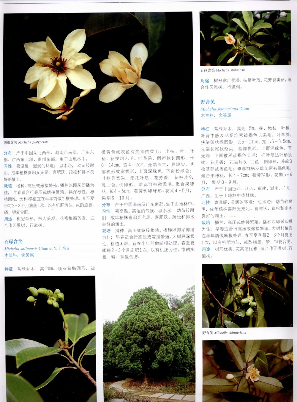 中国景观植物上(上)--H_0193.jpg