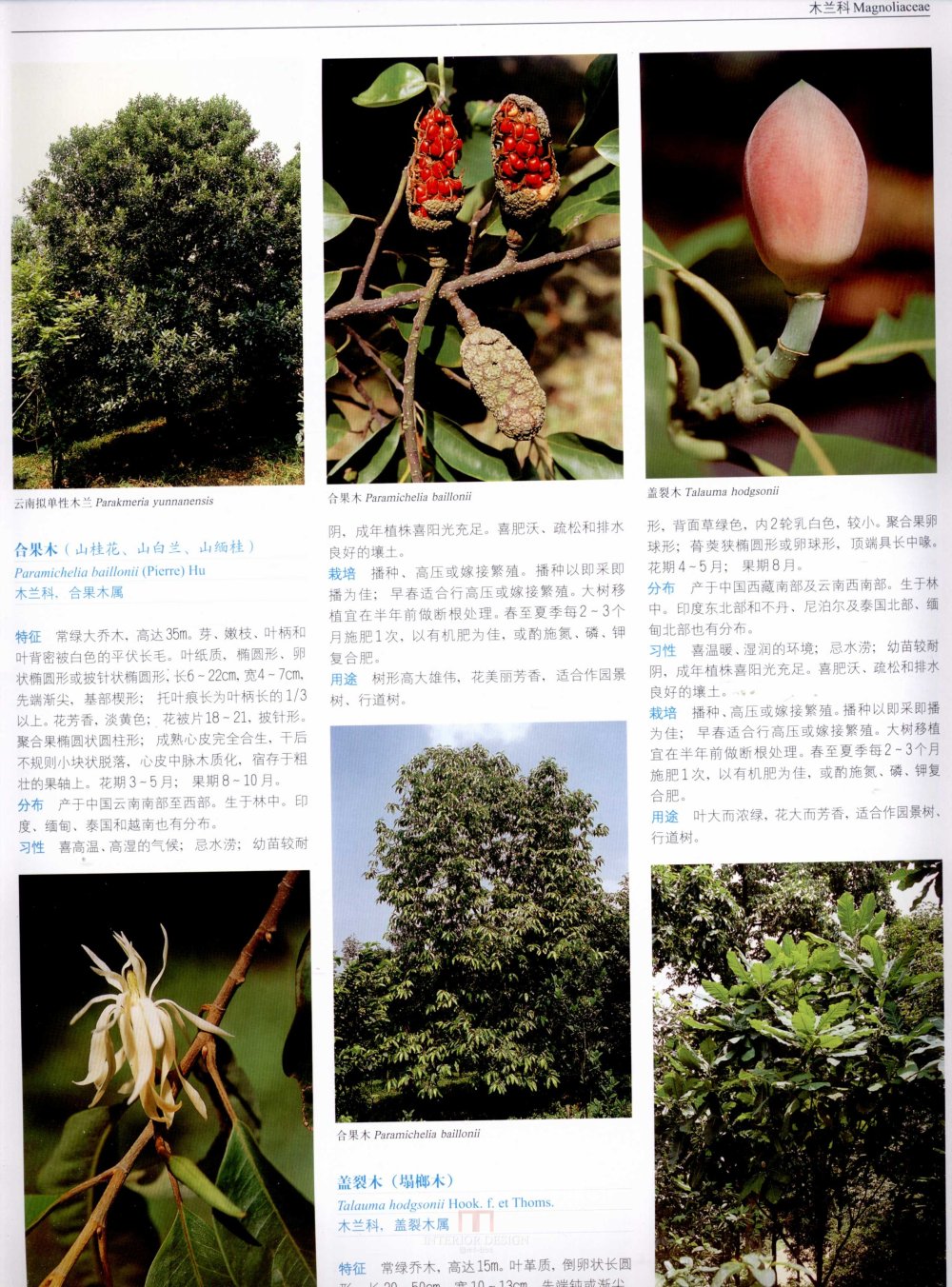 中国景观植物上(上)--H_0197.jpg