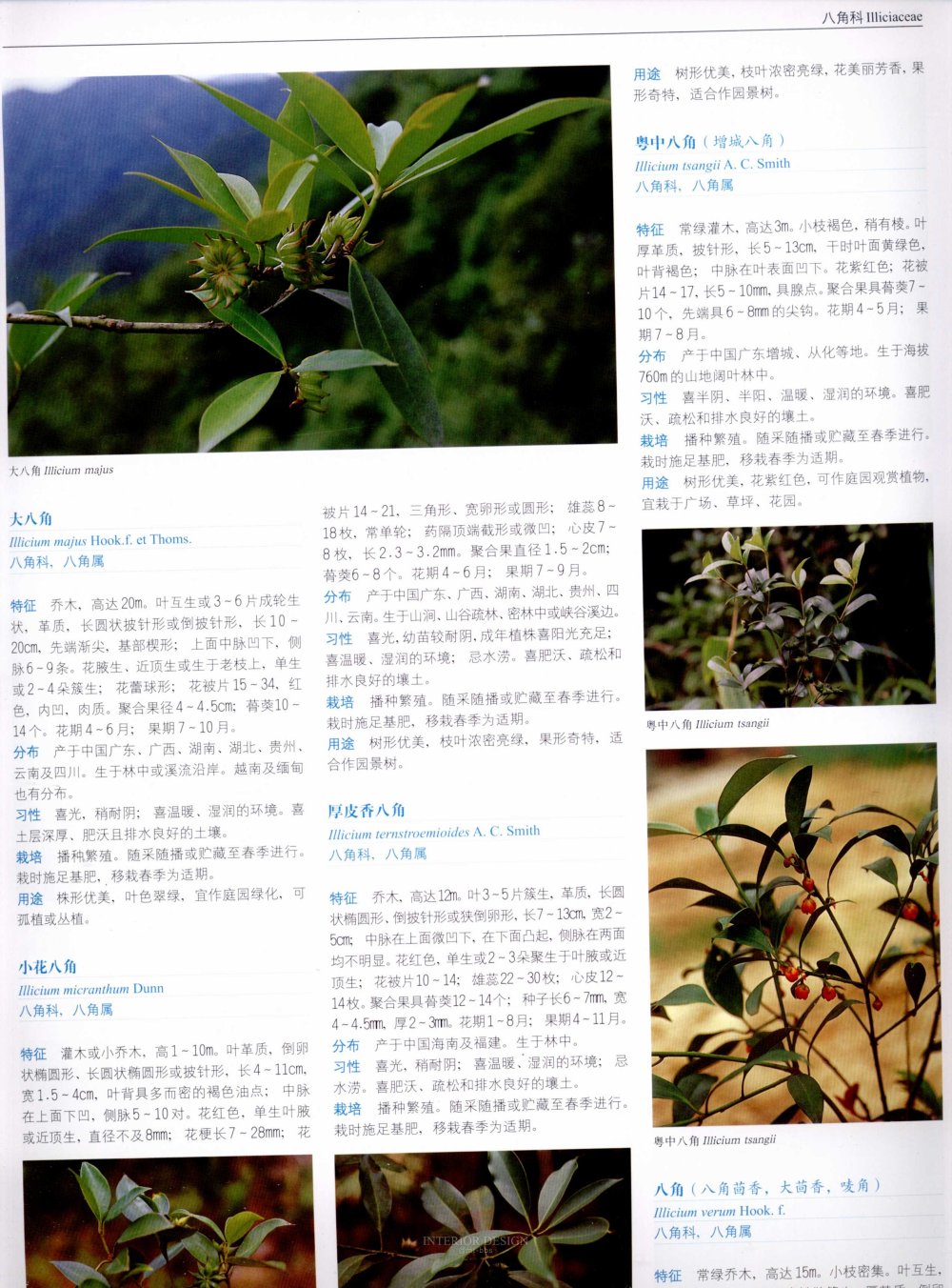 中国景观植物上(上)--H_0201.jpg