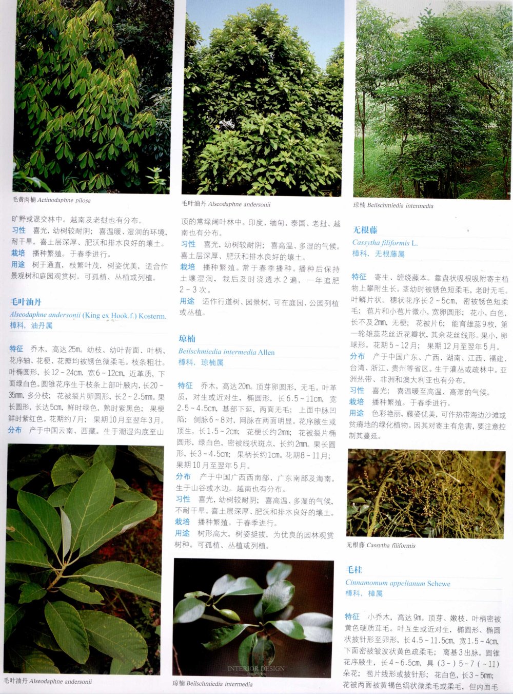 中国景观植物上(上)--H_0212.jpg