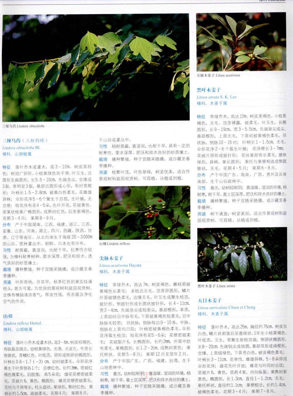 中国景观植物上(上)--H_0219.jpg