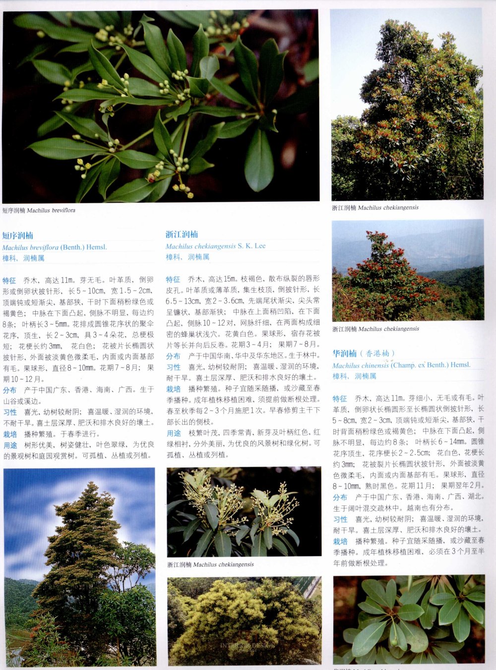 中国景观植物上(上)--H_0223.jpg