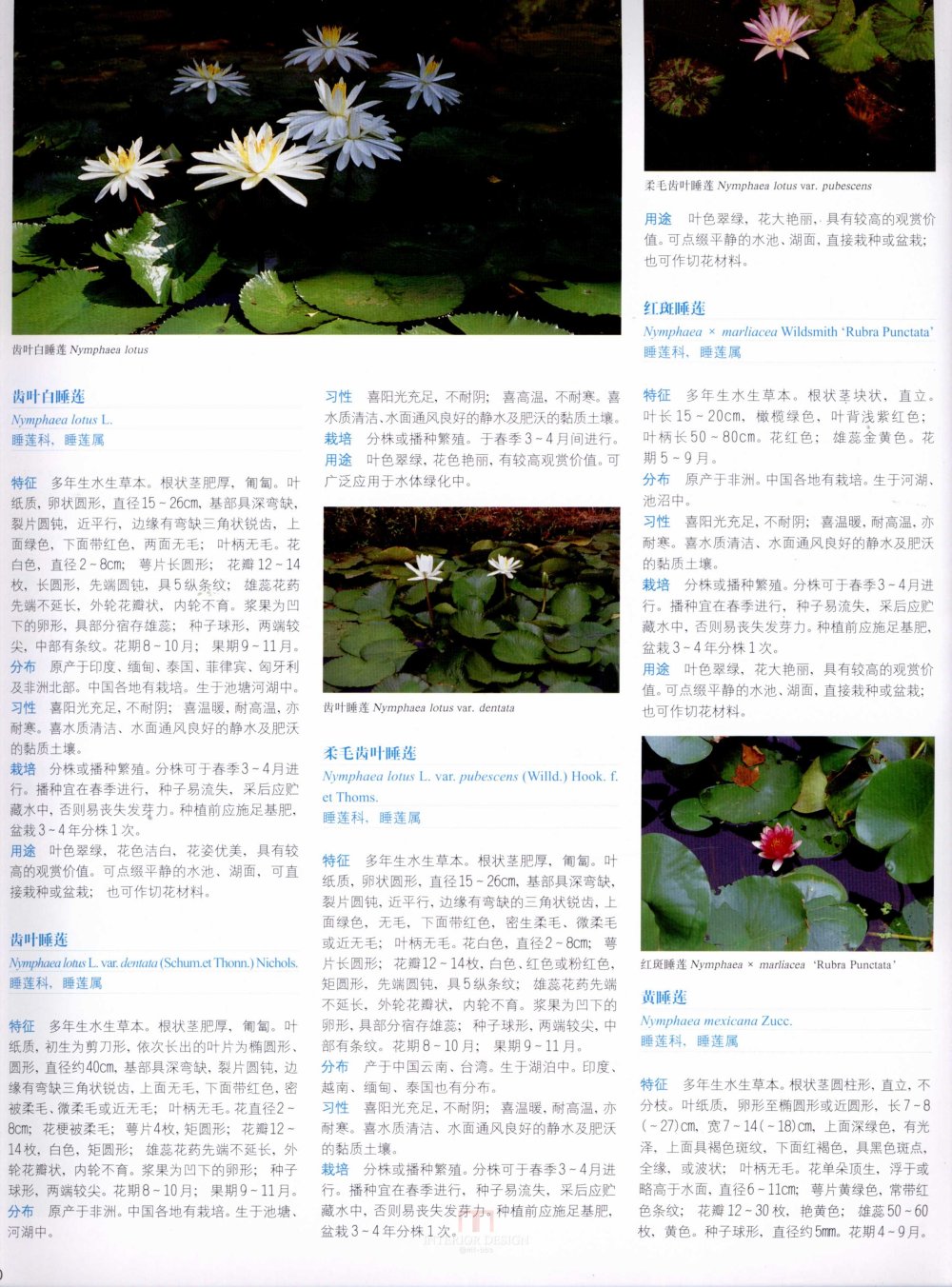 中国景观植物上(上)--H_0252.jpg