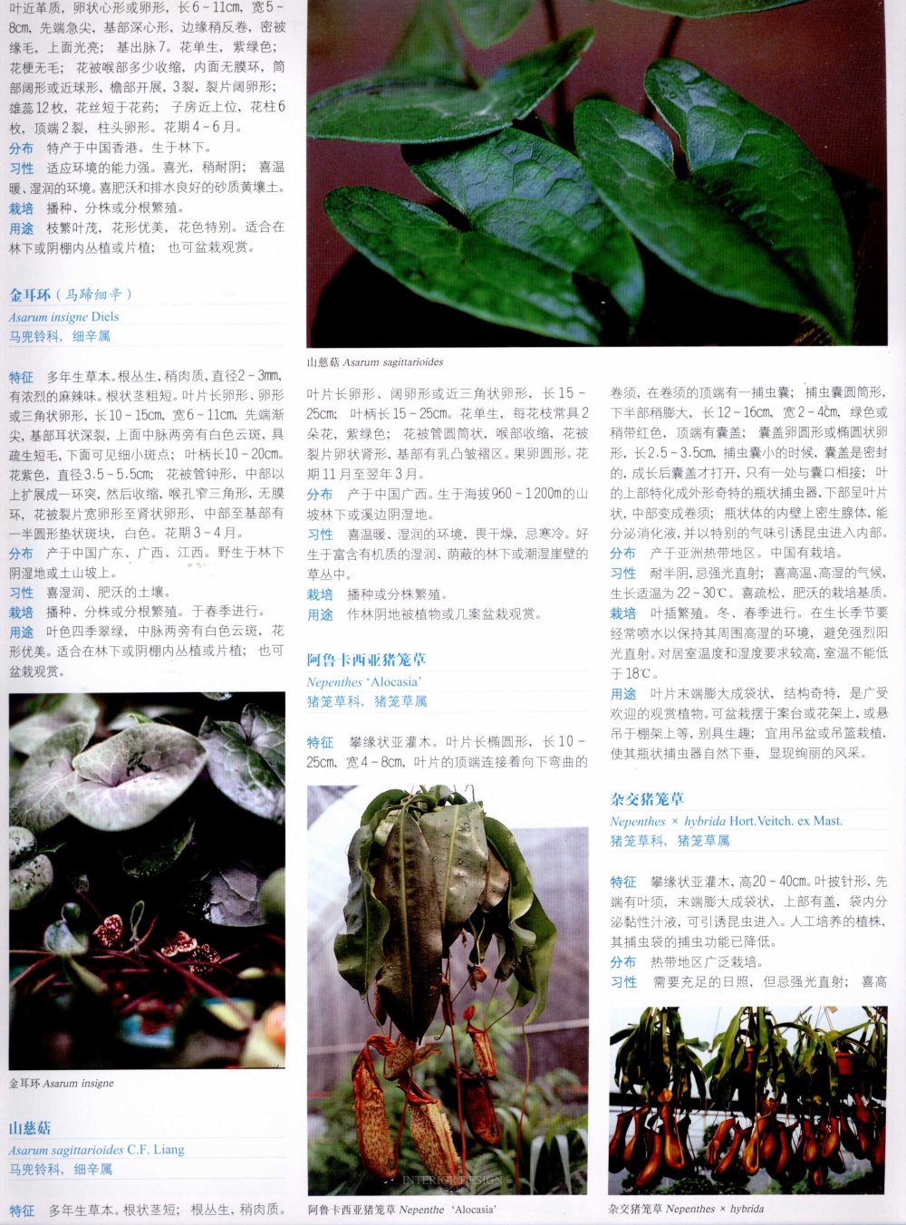 中国景观植物上(中)_0276.jpg