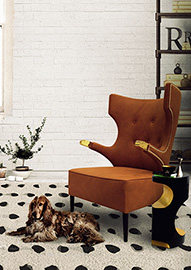 分享品牌创意家具 -BRABBU_home-sika-armchair1.jpg
