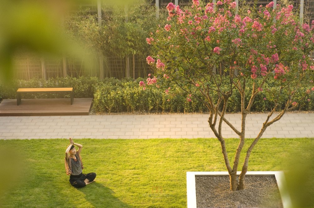 北京王府井希尔顿酒店_Serenity Garden.jpg