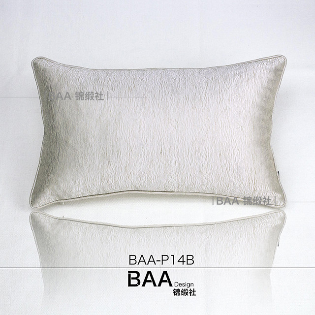 BAA-P14B 拷贝.jpg