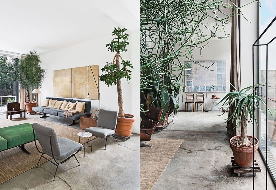 THE GREEN HOME OF ANTONIO SCIORTINO_Antonino-Sciortino-6.jpg