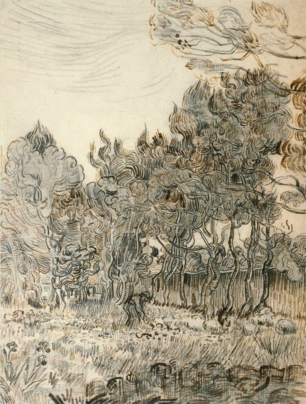 【油画】梵高后印象画派_A Corner of the Garden of St Pauls Hospital at St Remy - 1889.jpg