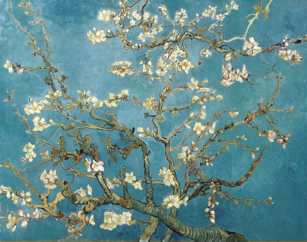 【油画】梵高后印象画派_Branches with Almond Blossom - 1890.jpg