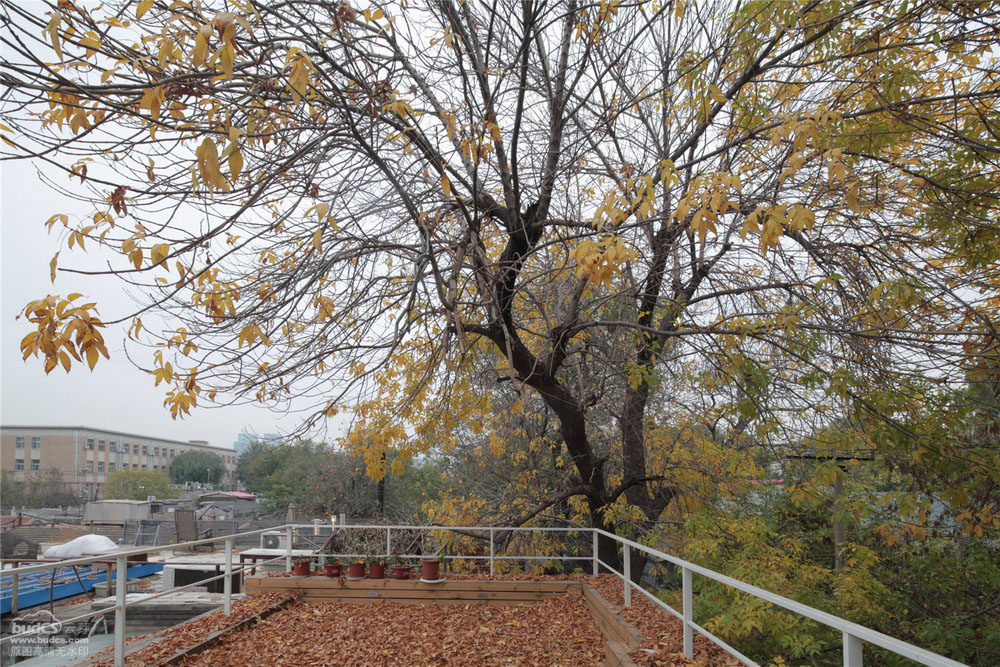 北京胡同住宅改造-建筑营_北京胡同住宅改造-建筑营23.jpg