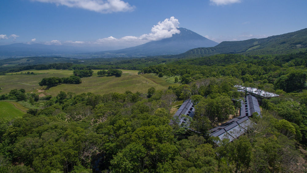 日本北海道坐忘林_DJI_0053-XL.jpg