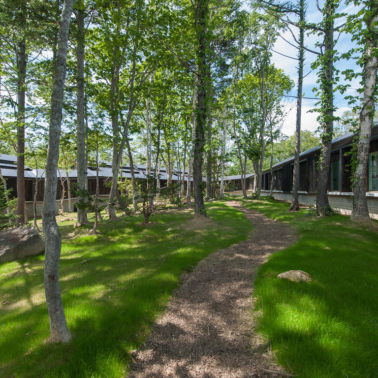 DSC_8891-2-XL-inner-courtyard-walkway.jpg